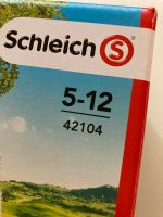 Schleich 42104 - Horse Club - Waschplatz Saarbrücken-Dudweiler - Scheidt Vorschau