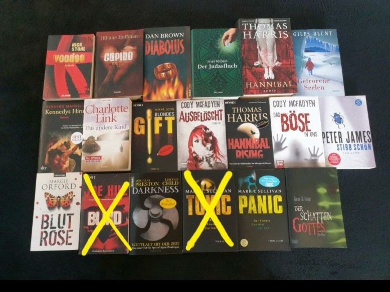 Tolles Bücherpaket für Lesefans, Leseratten, 17 Thriller + Romane in Beerfelden