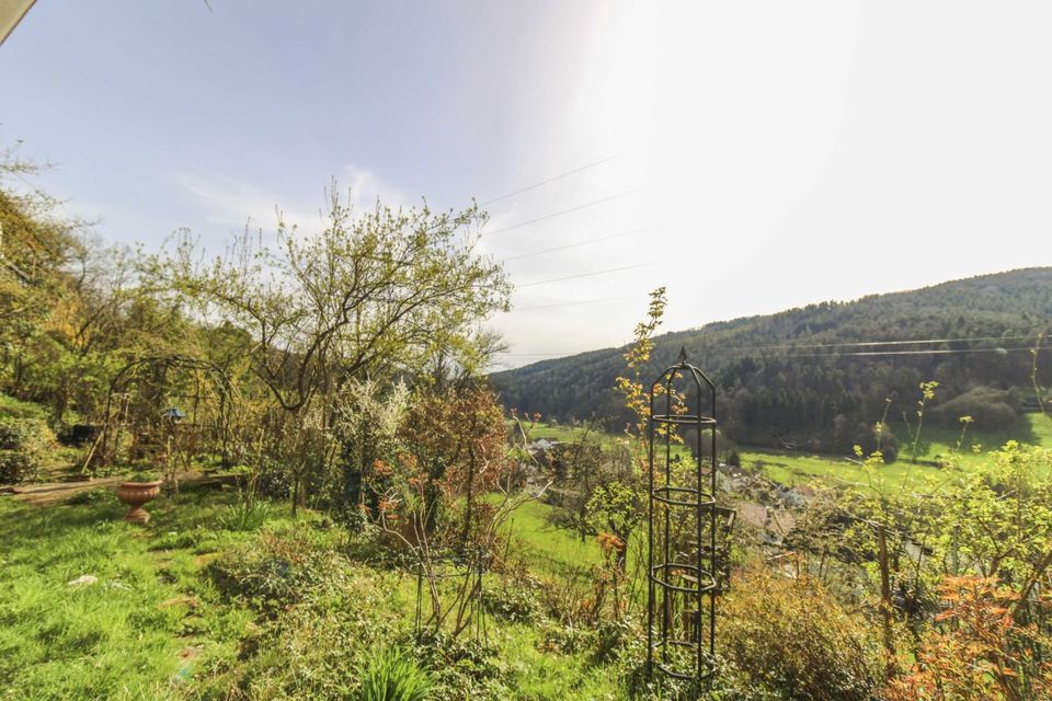 Wohnen mit Grün: EFH mit Potenzial für ZFH und toller Aussicht in naturnaher Lage von Oberzent in Oberzent