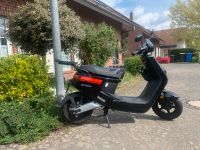 NIU M+ Sport hohe Reichweite Moped MotorrollerElektroroller Nordrhein-Westfalen - Erftstadt Vorschau