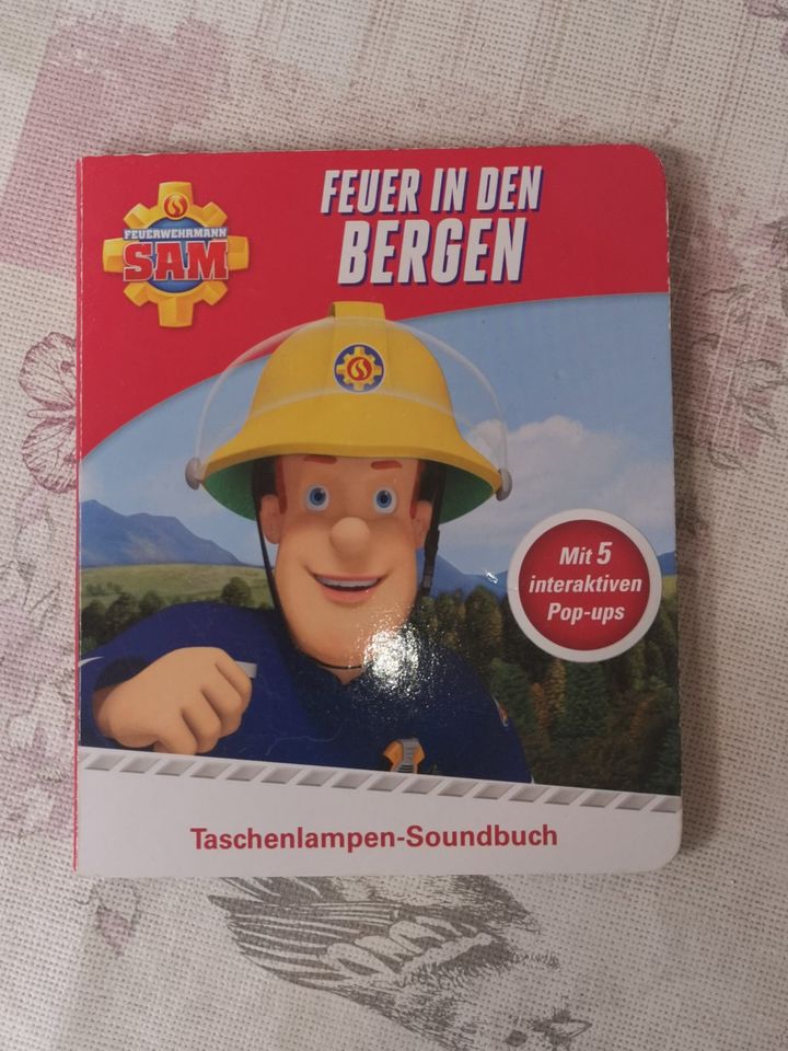 Kinderbuch "FEUER IN DEN BERGEN" aus Serie Feuerwehrmann SAM in München