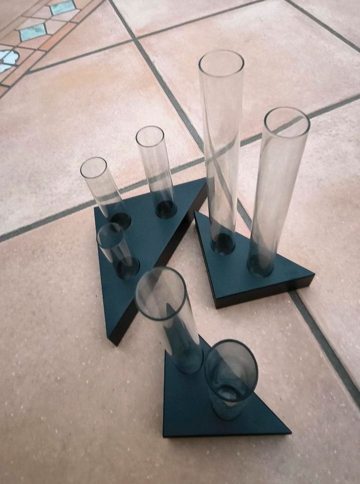 Vase Reagenzglas neu Deko Weihnachten Labor Reagenzgläser in Peine