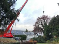 Fällungen  Baumwurzelentfernung  Baum  Baumstumpf enternen Baden-Württemberg - Horgenzell Vorschau