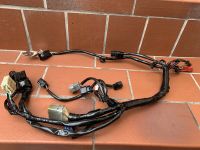 Honda CRF 250 2015 Kabelbaum Elektronik Stecker Kabel Hessen - Lampertheim Vorschau