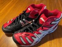 Asics Gel-Sensei 4 MT Volleyballschuhe 46,5 Düsseldorf - Pempelfort Vorschau