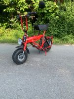 Di Blasi Camping Moped 50ccm !!!! Nordrhein-Westfalen - Lemgo Vorschau