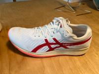 Asics Metaspeed Carbon Laufschuh Hamburg - Altona Vorschau