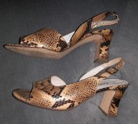 Gabor☀️Echt Leder Sandaletten☀️ Sandalen Reptil 38,5 / 5,5 Nordrhein-Westfalen - Olpe Vorschau