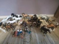 SUCHE Schleich Sammler/ Ankäufer Tausch(Konvolut/Peyo/Raritäten) Nordrhein-Westfalen - Bottrop Vorschau