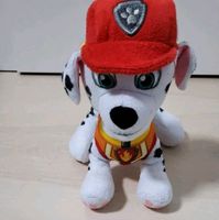 Marshall von Paw Patrol Hessen - Heidenrod Vorschau