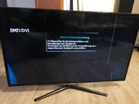 Samsung UE46ES6100 LCD Fernseher Defekt Niedersachsen - Osnabrück Vorschau