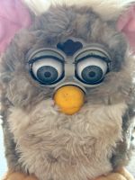 Furby 1998 Sachsen-Anhalt - Pouch (Muldestausee) Vorschau