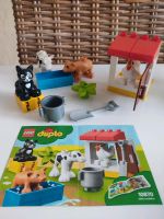 Lego Duplo kleine Farm OVP Rheinland-Pfalz - Wiesbaum Vorschau