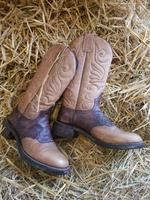 Original Sendra Cowboystiefel / Westernstiefel Nordrhein-Westfalen - Lüdinghausen Vorschau
