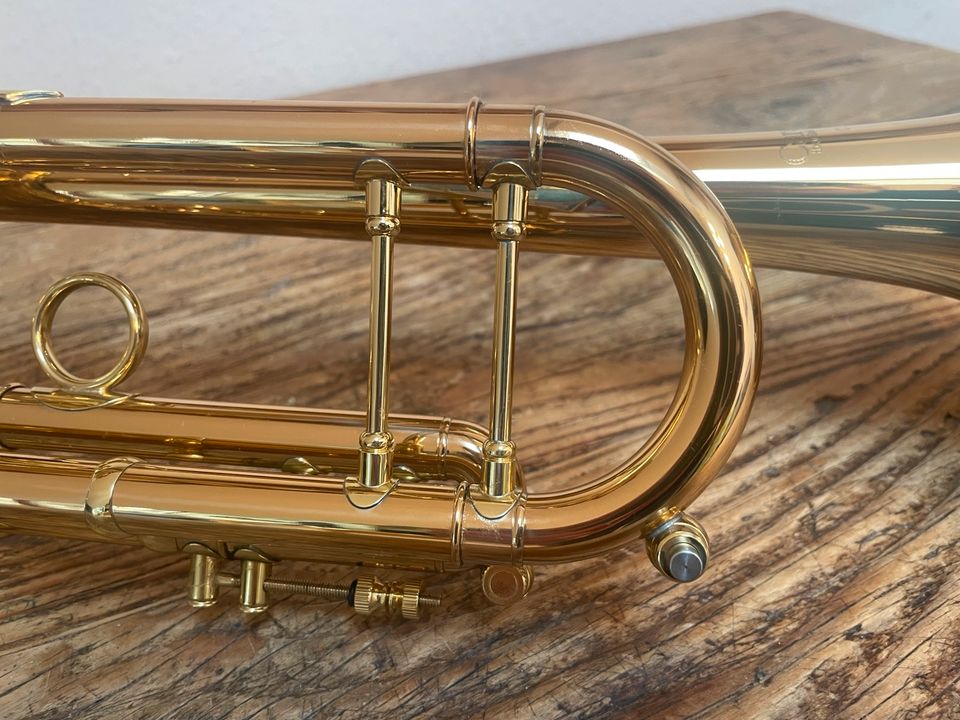 Bb Trompete Carol Brass CTR-8880H-GST-Bb-L in Köln