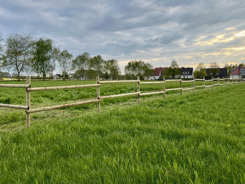 Pferdezaun Weidezaun Koppelzaun Reitplatz Holzzaun - 500m BUDGET in Lennestadt