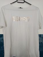 Esprit Damen T-Shirt Sachsen - Brand-Erbisdorf Vorschau