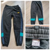 Puma Jogger Niedersachsen - Esens Vorschau