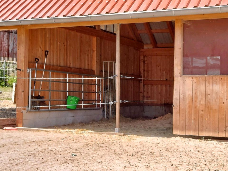 Mehrfamilienhaus mit Pool, wohnen mit Pferd, Gutshof, Landhaus in Konnersreuth