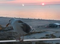 Suche kleine FeWo Ostsee, möbliert, stufenlos mit Stellplatz Rostock - Seebad Warnemünde Vorschau