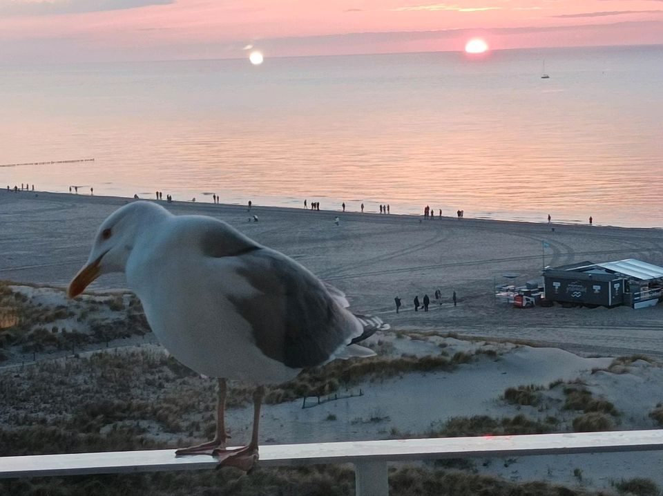 Suche kleine FeWo Ostsee, möbliert, stufenlos mit Stellplatz in Rostock