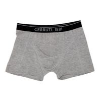 Cerruti 1881 Boxershorts Trunks grau Gr. XL * NEU * Calvin Klein Nordrhein-Westfalen - Hagen Vorschau