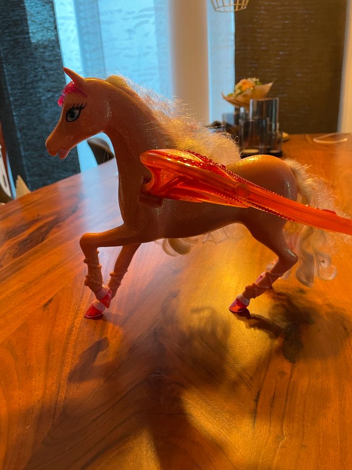 Barbie Pegasus in Riol