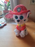 Paw Patrol Hund Sachsen - Neukirchen/Pleisse Vorschau