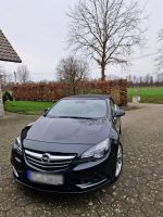 Opel Cascada Cabriolet, Klima, Einparkhilfe, Checkheft Nordrhein-Westfalen - Steinhagen Vorschau