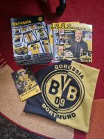 Bvb Set mit Magazinen und Kissenbezug Rheinland-Pfalz - Bruchmühlbach-Miesau Vorschau