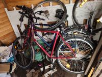 Fahrräder zu verkaufen Niedersachsen - Barsinghausen Vorschau