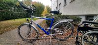 Hercules  Bionic City Tourer 26" Hessen - Maintal Vorschau