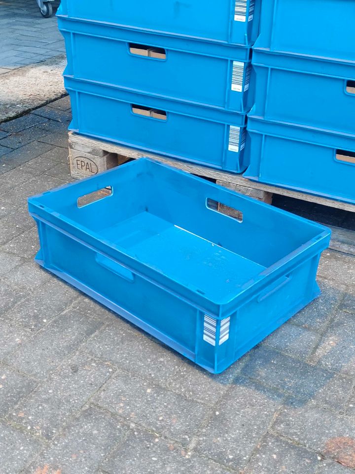 Stapelkiste Transportkiste Lagerkiste Rako 64-17 gebraucht 600x400x170mm Blau in Hesel