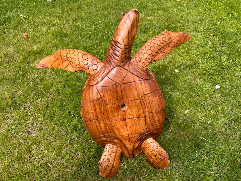 Schildkröte 60cm Meeresschildkröte Wasserschildkröte Holz in Essen