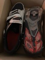 Shimano SPD Schuhe Gr 43 Berlin - Pankow Vorschau