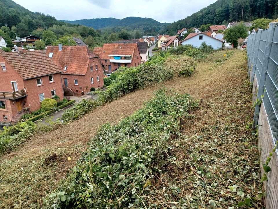 Baugrundstücke in RheinlandPfalz Lug (Pfalz) Grundstück & Garten