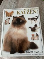 Katzen- Buch Sachsen - Oßling Vorschau