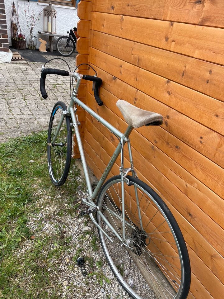 Vintage Rennrad von Carraro in Waakirchen