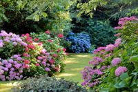 Gartengrundstück Frankfurt am Main - Bergen-Enkheim Vorschau