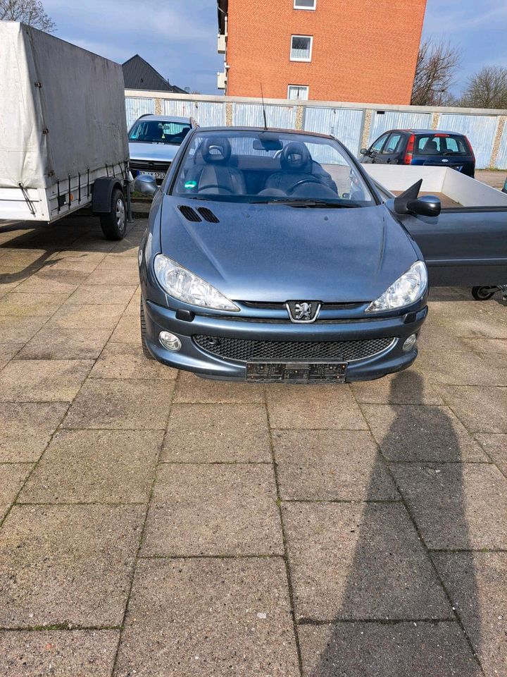 Peugeot 206 cc Cabrio in Lauenburg