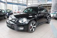 Volkswagen New Beetle 2.0TSI DSG Sport Climatronic PDC Hannover - Bothfeld-Vahrenheide Vorschau