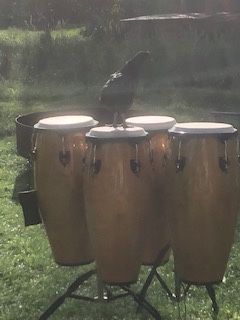 4 Conga, Congas in Teterow