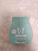 Scentsy Bar Mint to Be Merry Neu Hadern - Blumenau Vorschau