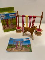 Schleich Pferde Agility Set und Springset Nordrhein-Westfalen - Kamp-Lintfort Vorschau