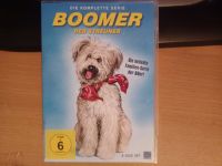 DVD Boomer der Streuner   Komplette Serie Berlin - Steglitz Vorschau