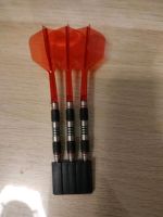 Designa Vampires Steeldarts 24g + Target K Flex Flights Bielefeld - Brackwede Vorschau