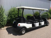 WSM EX1600 Elektrofahrzeug Golfcart Baden-Württemberg - Satteldorf Vorschau