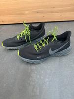 NIKE Laufschuhe/Turnschuhe Größe 44 Hessen - Reichelsheim (Odenwald) Vorschau