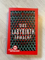 Thriller „Das Labyrinth erwacht“ von Rainer Wekwerth Nordrhein-Westfalen - Werdohl Vorschau