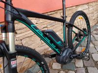 Felt E-MTB , Bosch Performance Motor, RH 18"/M, nur 22,5 Kg leich Sachsen-Anhalt - Magdeburg Vorschau